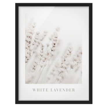 Tavla med ram - White Lavender