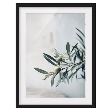 Tavla med ram - Delicate olive branch in blossom