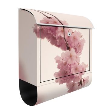 Briefkasten - Zartrosane Frühlingsblüte mit Bokeh
