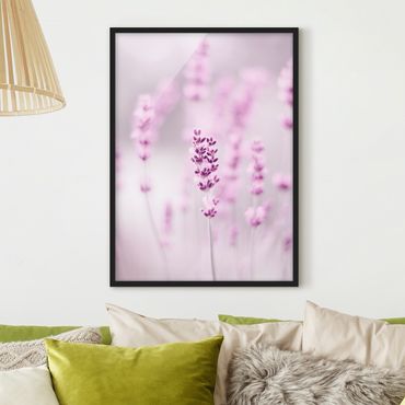 Bild mit Rahmen - Zartvioletter Lavendel - Hochformat