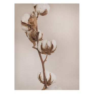 Canvastavla - Fragile Cotton Twig