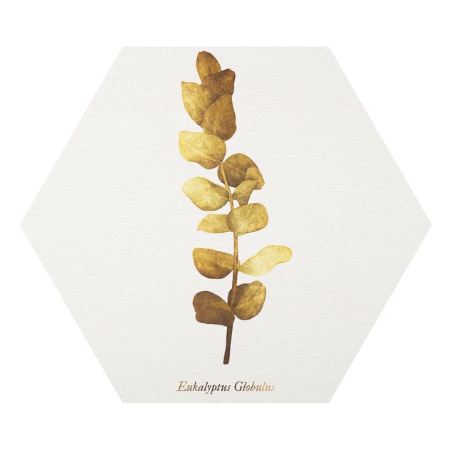 Tavlor Gold - Eucalyptus