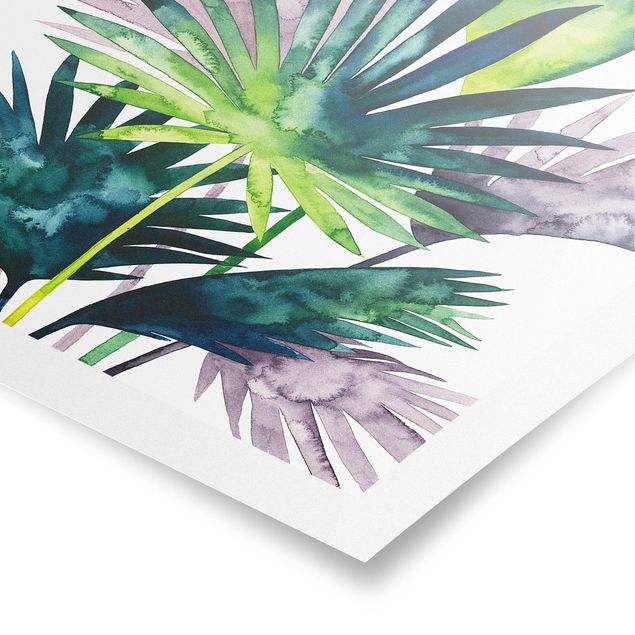 Tavlor grön Exotic Foliage - Fan Palm
