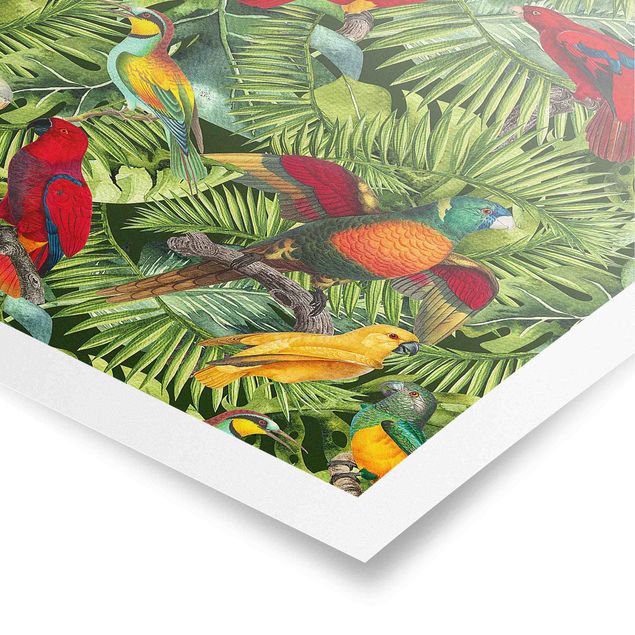 Posters konstutskrifter Colourful Collage - Parrots In The Jungle