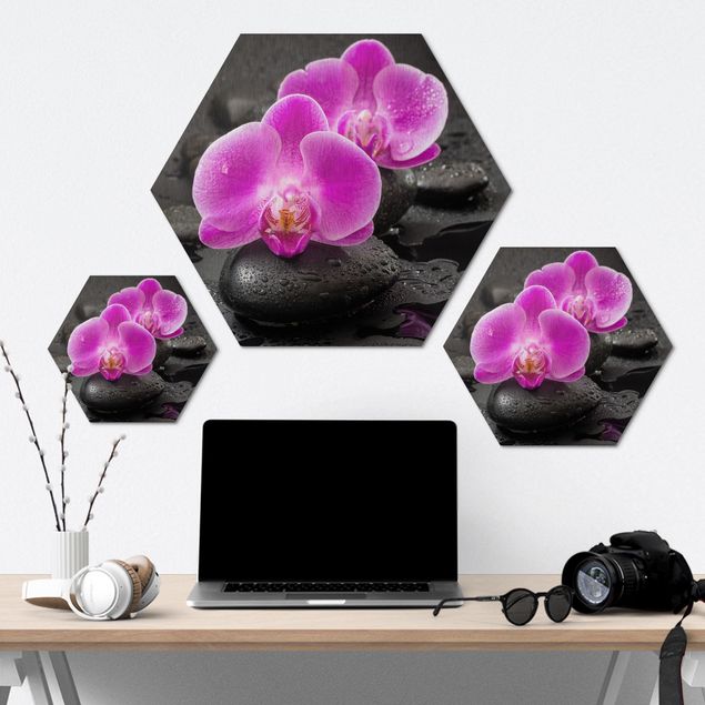 Hexagonala tavlor Pink Orchid Flower On Stones With Drops