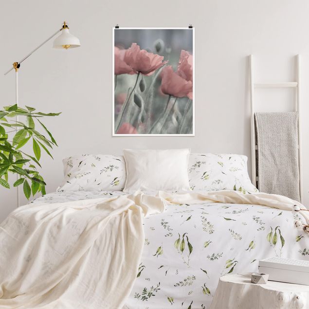 Posters blommor  Picturesque Poppy