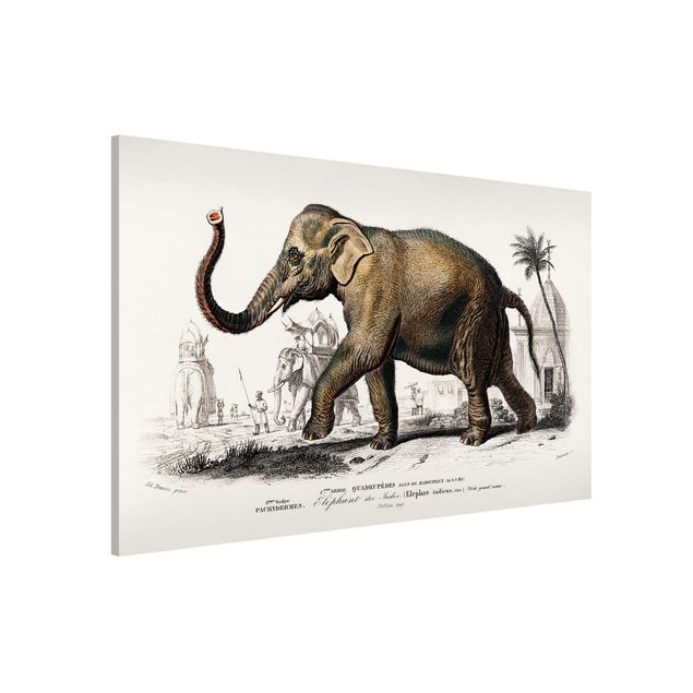 Kök dekoration Vintage Board Elephant