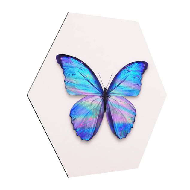Tavlor konstutskrifter Holographic Butterfly