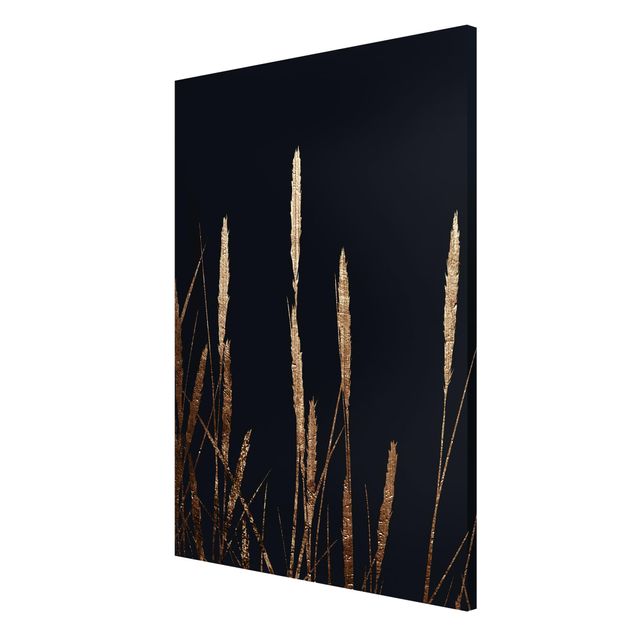 Magnettavla blommor  Graphical Plant World - Golden Reed
