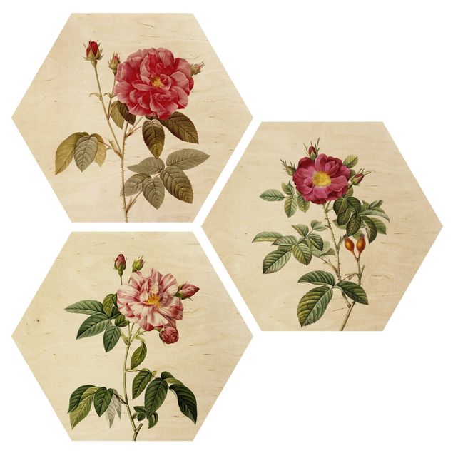 Trätavlor blommor  Pierre Joseph Redouté - Roses