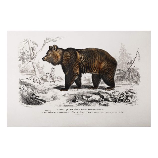 Kök dekoration Vintage Board Brown Bear