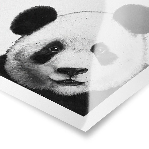 Posters djur Illustration Panda Black And White Drawing