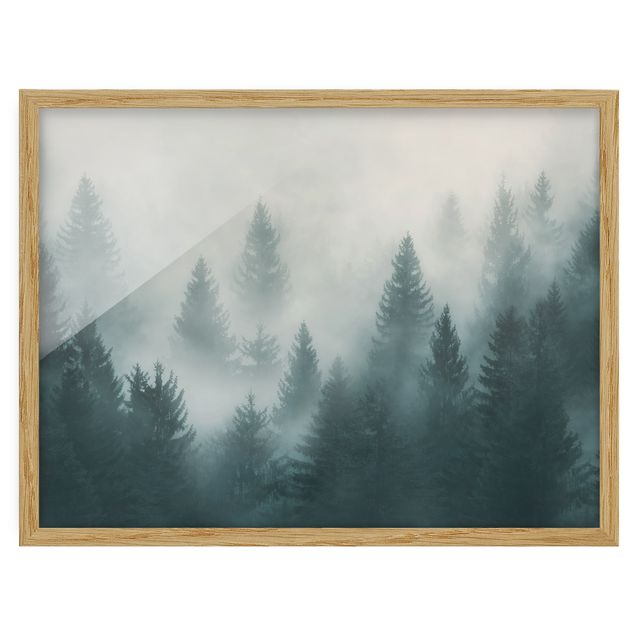 Tavlor med ram landskap Coniferous Forest In Fog