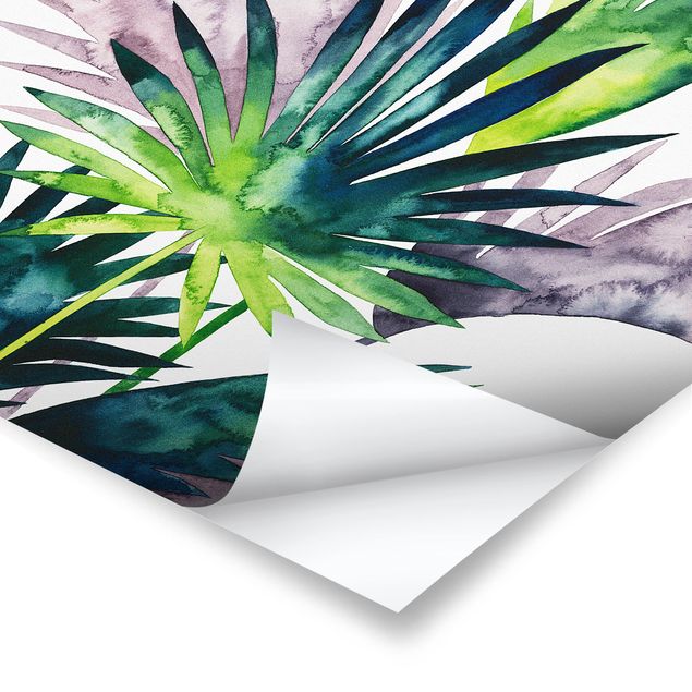Tavlor Exotic Foliage - Fan Palm