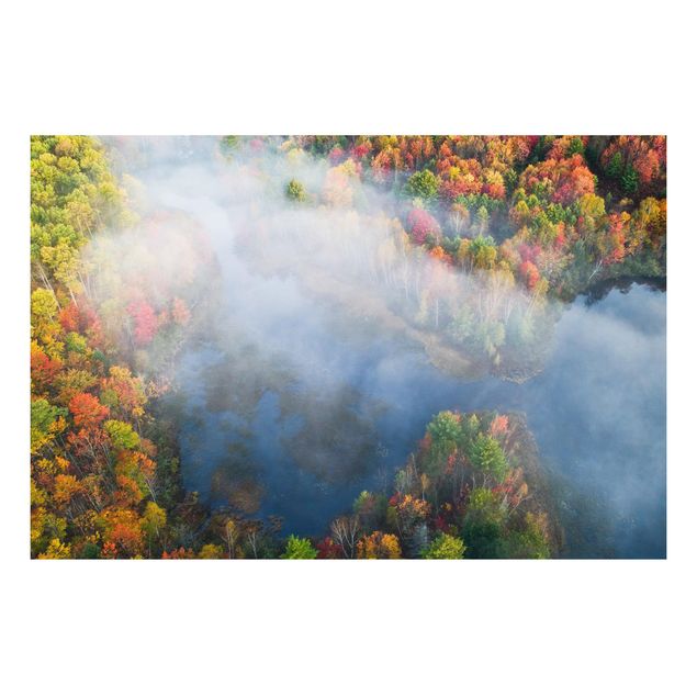 Tavlor träd Aerial View - Autumn Symphony