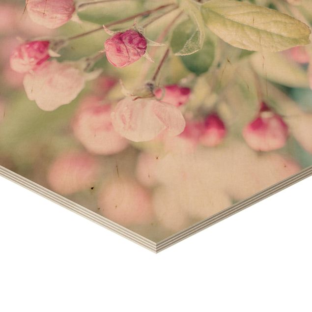 Hexagonala tavlor Apple Blossom Pink Bokeh