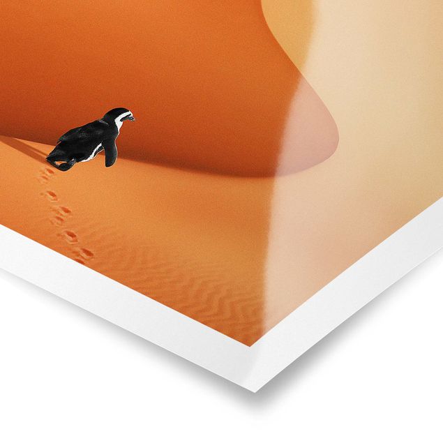 Tavlor orange Desert With Penguin