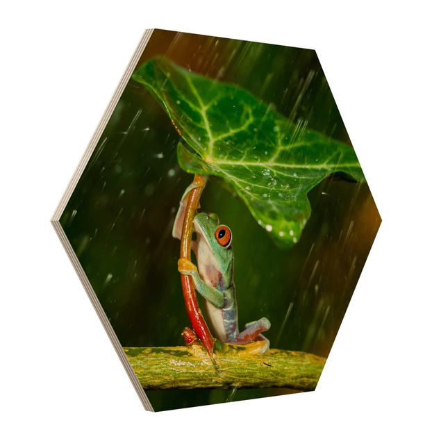 Hexagonala tavlor Frog In The Rain
