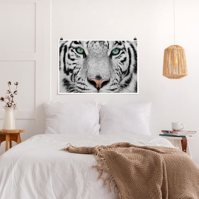 Posters svart och vitt White Tiger