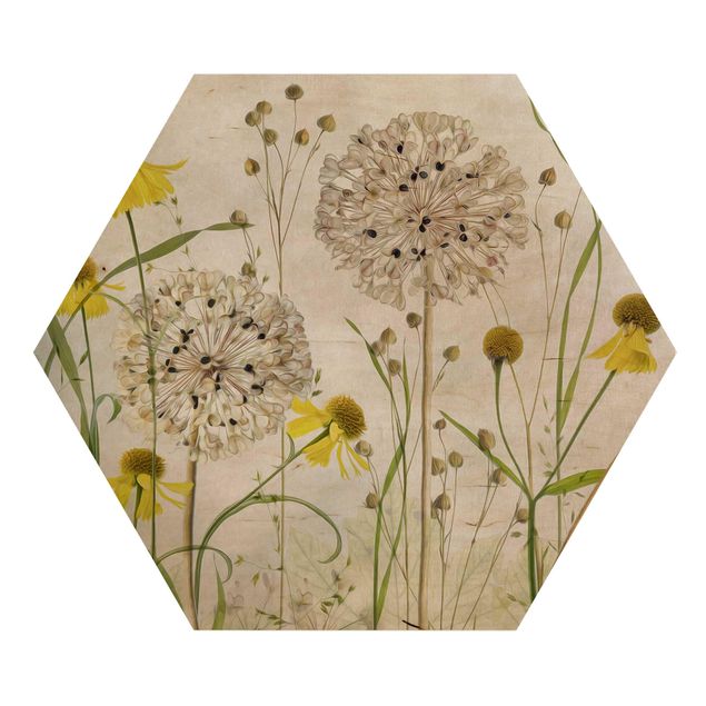 Hexagonala tavlor Allium And Helenium Illustration