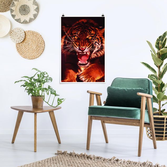 Posters djur Wild Tiger