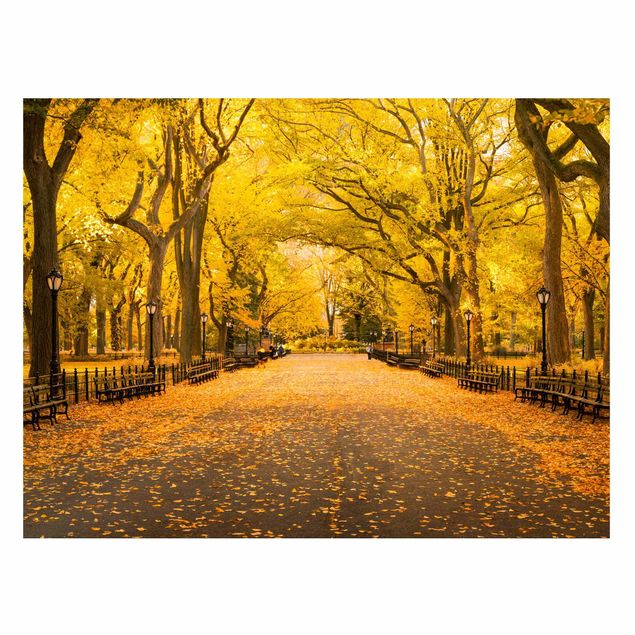 Tavlor New York Autumn In Central Park