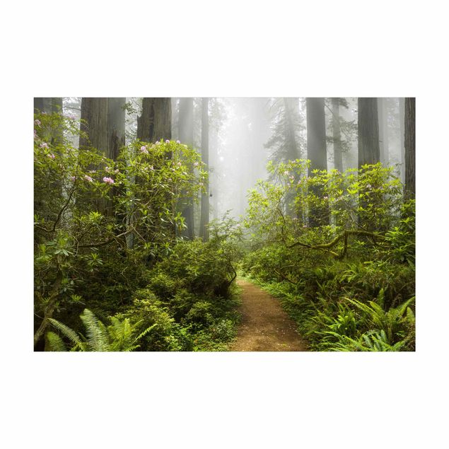 mattor grön Misty Forest Path