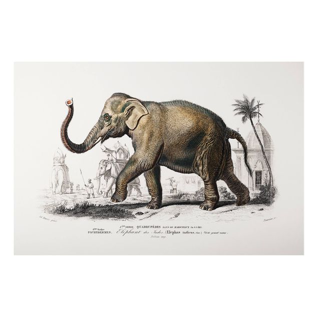 Tavlor elefanter Vintage Board Elephant