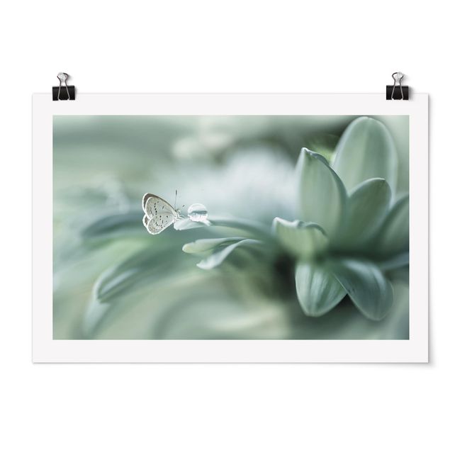 Tavlor blommor Butterfly And Dew Drops In Pastel Green