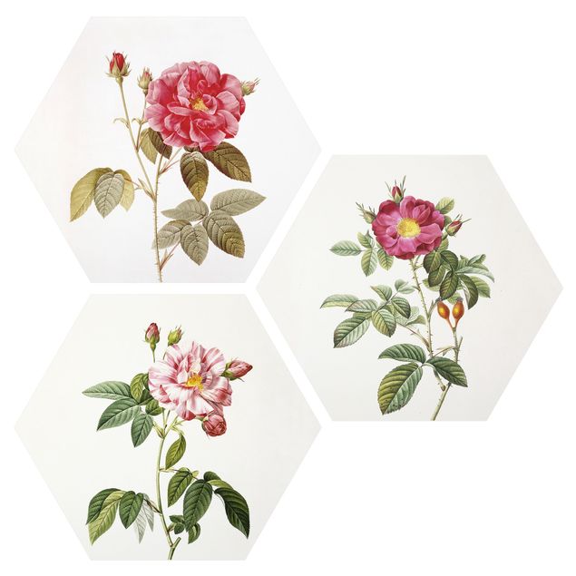 Tavlor blommor Pierre Joseph Redouté - Roses