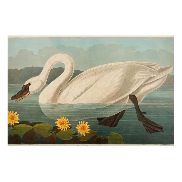 Magnettavla blommor  Vintage Board American Swan
