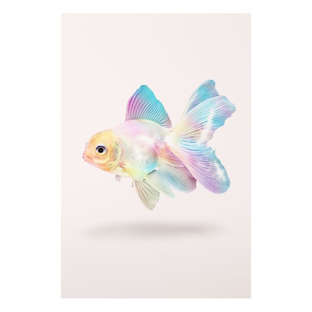 Tavlor fisk Fish In Pastel