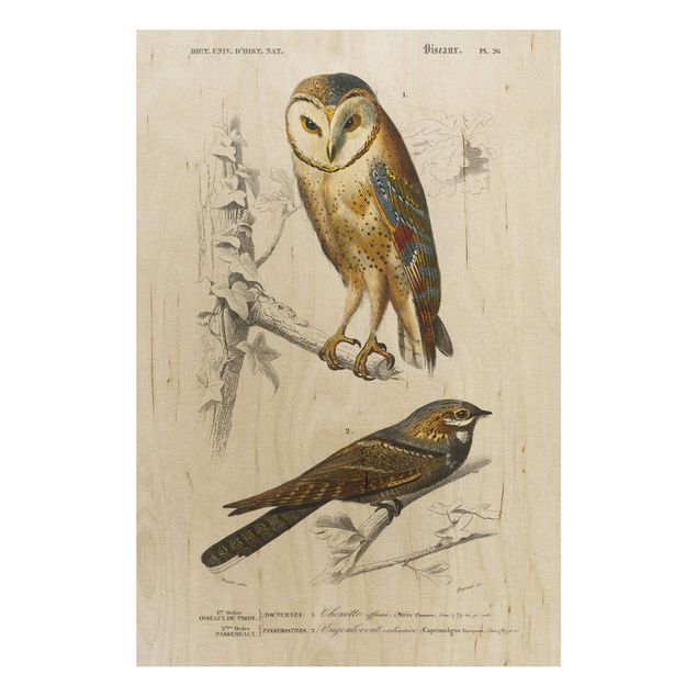 Trätavlor vintage Vintage Board Owl And Swallow