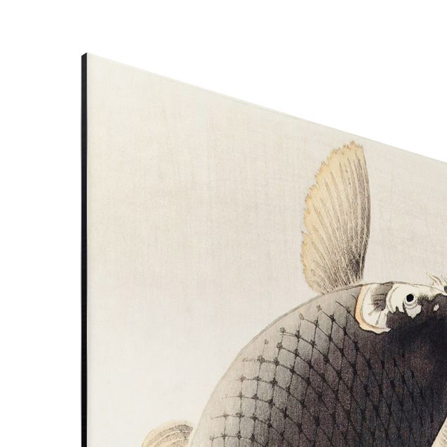 Tavlor djur Vintage Illustration Asian Fish II