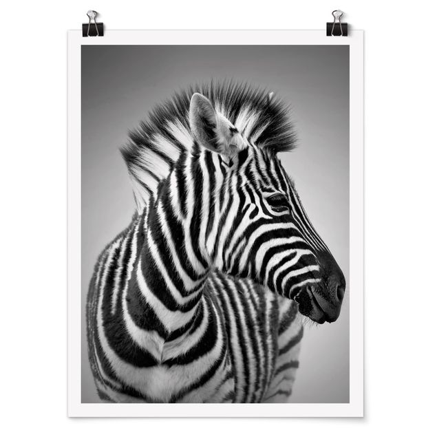 Posters djur Zebra Baby Portrait II