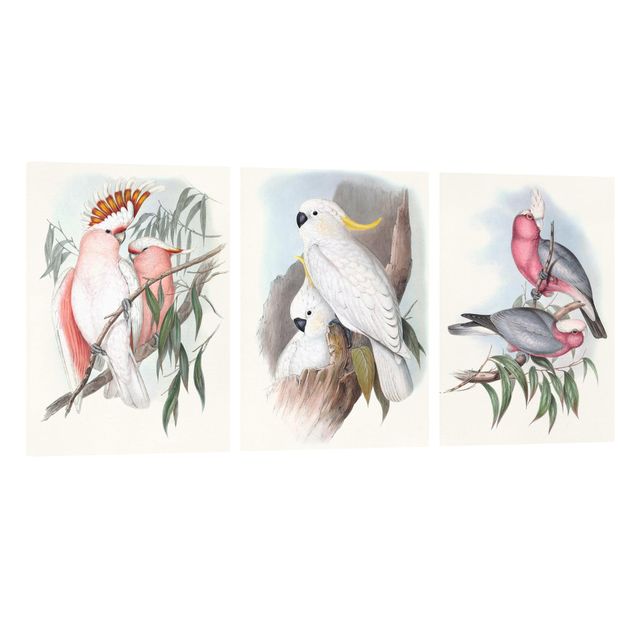 Canvastavlor djur Pastel Parrots Set I