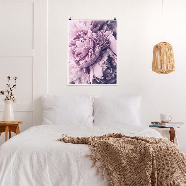 Posters blommor  Purple Peony Blossoms