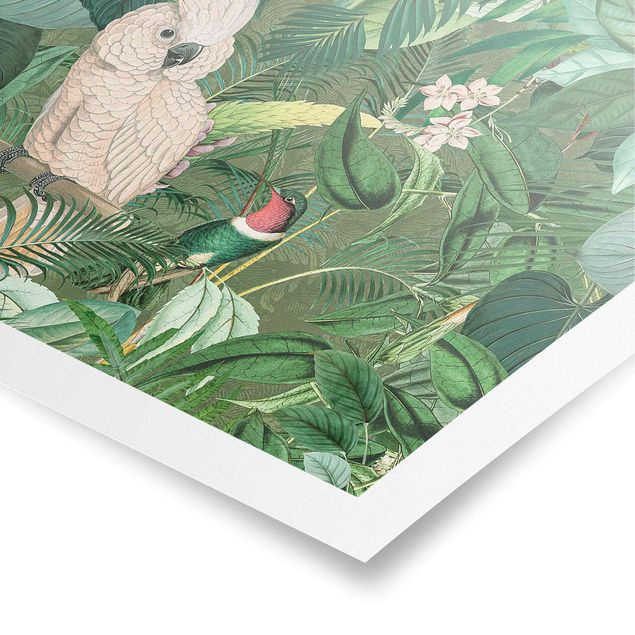 Tavlor grön Vintage Collage - Kakadu And Hummingbird