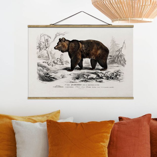 Tavlor björnar Vintage Board Brown Bear