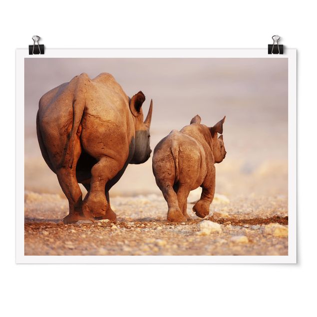Tavlor modernt Wandering Rhinos