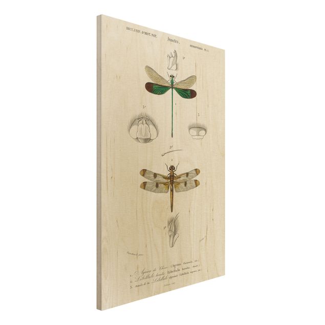 Kök dekoration Vintage Board Dragonflies