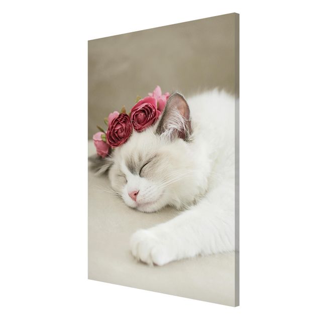 Magnettavla blommor  Sleeping Cat with Roses