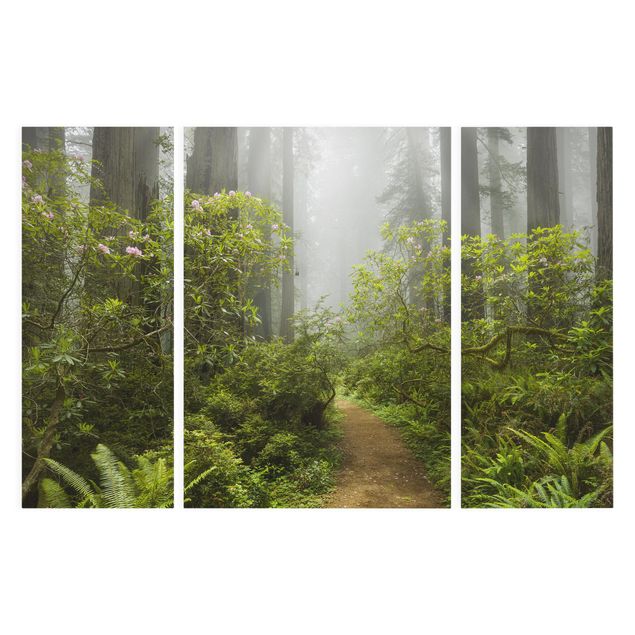 Canvastavlor skogar Misty Forest Path