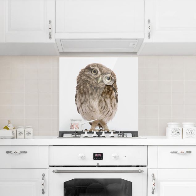 glasskivor kök Curious Owl