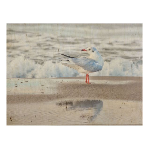 Trätavlor landskap Seagull On The Beach In Front Of The Sea