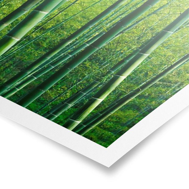 Tavlor 3D Bamboo Forest