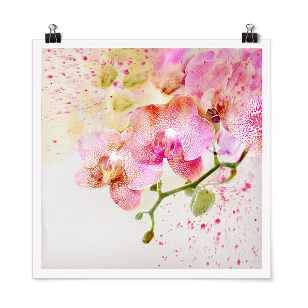 Posters blommor  Watercolour Flowers Orchids