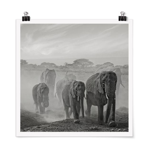 Tavlor landskap Herd Of Elephants