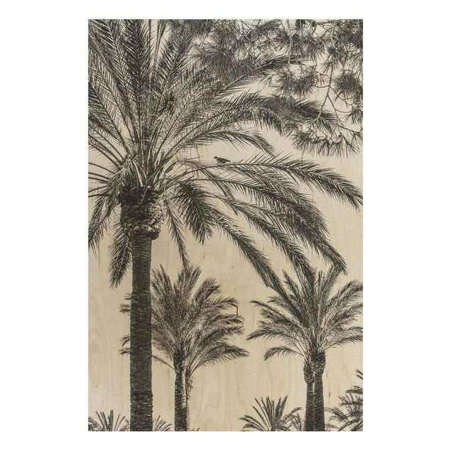 Trätavlor blommor  Palm Trees At Sunset Black And White