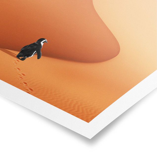 Posters djur Desert With Penguin